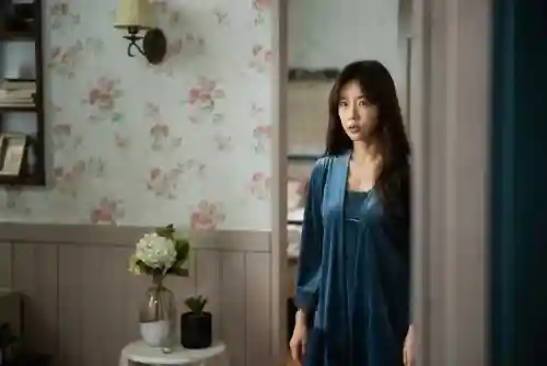 好看的恐怖片推荐(适合带对象看的鬼片)插图10