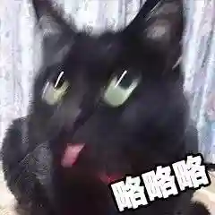 网上特别火的那个猫表情包(猫咪摇头表情包动图)插图19 网上特别火的那个猫表情包(猫咪摇头表情包动图)插图19