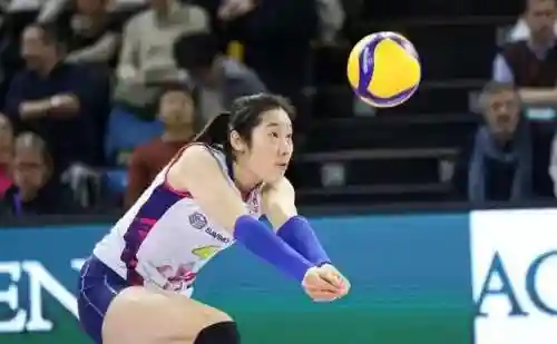 美国女排搭配阵容图表最新(中国女排最强阵容名单)插图13