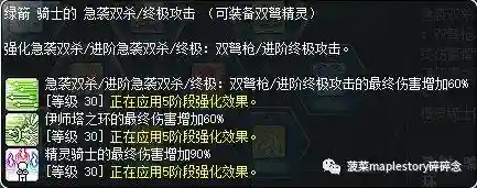 冒险岛双弩精灵好废(冒险岛双弩面板好堆吗)插图17