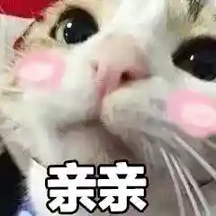 网上特别火的那个猫表情包(猫咪摇头表情包动图)插图21 网上特别火的那个猫表情包(猫咪摇头表情包动图)插图21