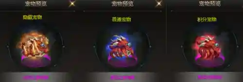 dnf可交易宠物外观好看排行(dnf宠物幻化宠物排行榜)插图5