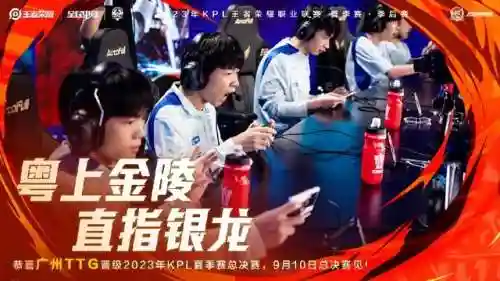 狼队扁鹊阵容怎么搭配(陆逊王异阵容搭配)