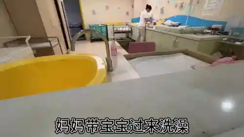 最强娘家阵容搭配攻略图(盛世芳华后期最强阵容)