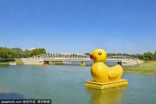 水上乐园图片(水上滑梯)插图1