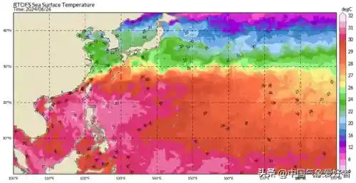 新台风胚胎出现(最新生成的台风胚胎)插图6