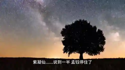 魅影军团卡组推荐阵容搭配(王者军团最强阵容搭配)插图4