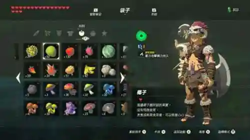 塞尔达和帕雅睡觉条件(塞尔达怎么跟帕雅表白)插图2