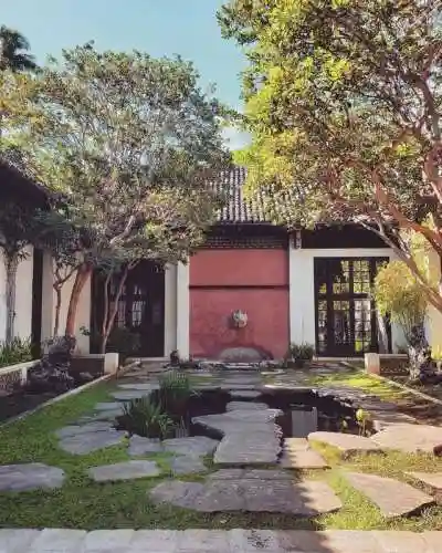 梦幻庭园搭配阵容图片大全(花境植物搭配效果图)插图6