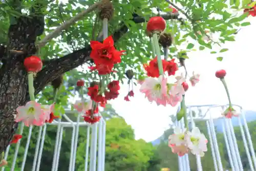 原生花4最强阵容搭配(迪奥娜阵容搭配平民)插图7