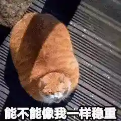 网上特别火的那个猫表情包(猫咪摇头表情包动图)插图3 网上特别火的那个猫表情包(猫咪摇头表情包动图)插图3