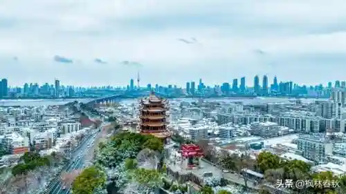 天斗大雪阵容搭配攻略(海边小斗大雪好看视频)插图1