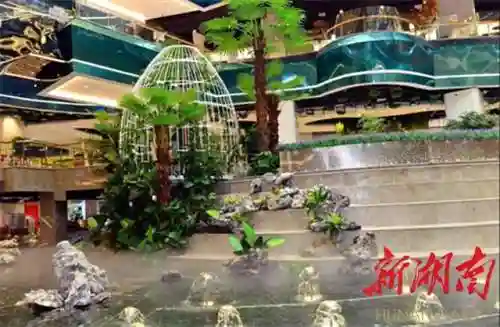 合纵联盟手游云顶阵容搭配(云顶之弈组合推荐)插图2