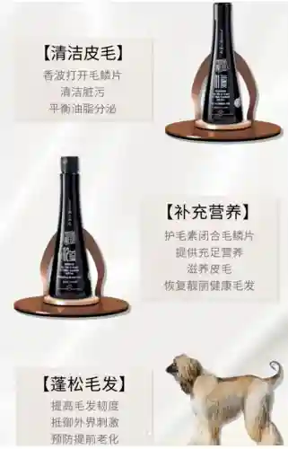 口袋妖怪黑白强力宠物(口袋妖怪黑白前期必抓精灵)插图2