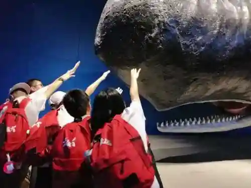 洛克王国红顶剑龙怎么进化(洛克王国龙系宠物在哪里超进化)插图14