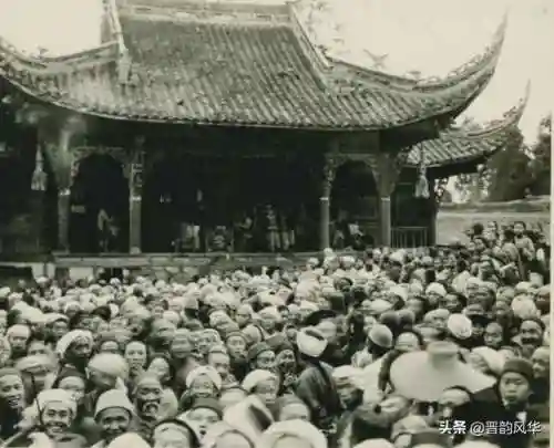 黑斗狮子搭配什么阵容(新版本八斗士阵容)