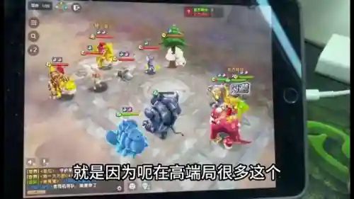 鲨鱼和熊搭配什么阵容好(飞熊军适合什么阵容)