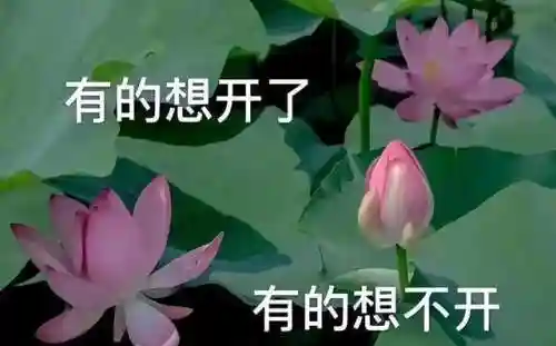 无尽皇家挑战阵容搭配(无尽守护最强阵容推荐)插图3