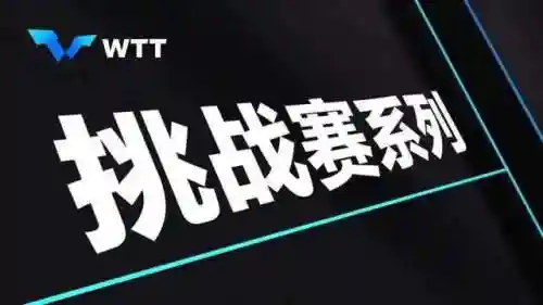 乒乓球世界冠军(中国的世界冠军名单)插图3