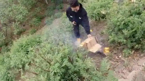 斗子哥顶配阵容搭配(决斗大师阵容搭配)插图22 斗子哥顶配阵容搭配(决斗大师阵容搭配)插图22