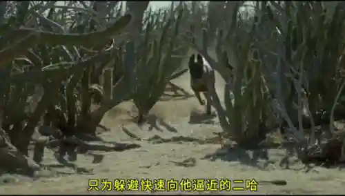 绝命逃亡3(极速逃脱3杀意的重灾区)