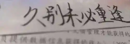 小陈好友阵容搭配图片高清(战略版陈到最稳的一套阵容)插图1