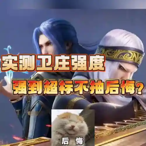 新区卫庄怎么搭配阵容(率土之滨sp赵云卫瓘阵容搭配)