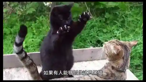恐怖幽灵船(绝命幽灵船三个女的是谁)插图3