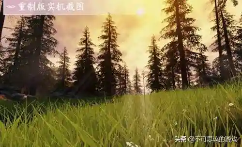 楚留香手游凉了(楚留香和李红袖的关系)插图9