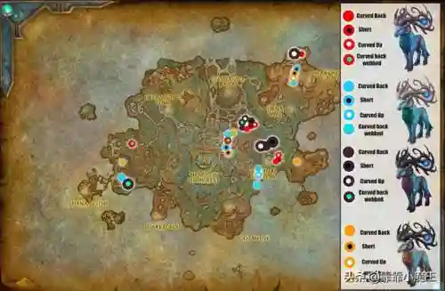 魔兽世界宠物推荐(wow70猎人必抓五只宠物)插图1