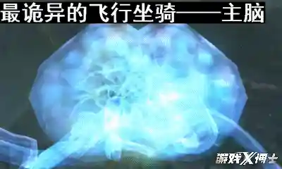 魔兽世界无敌坐骑(wow无敌的缰绳怎么刷)