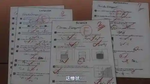 部落冲突阿尼亚阵容搭配(部落冲突最强的阵型)插图2