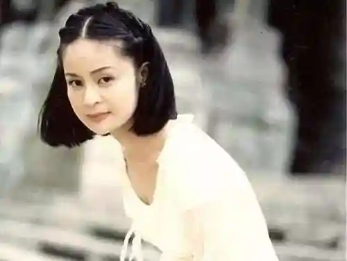 怀旧歌曲大全100首(怀旧老歌)插图44