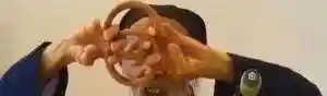 乾坤 球球 怎么 搭配 阵容(去吧精灵球商城版最强阵容)插图3