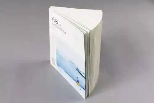 奥奇传说蛮荒王阵容搭配(奥奇传说t0阵容)插图18