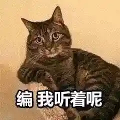 网上特别火的那个猫表情包(猫咪摇头表情包动图)插图28 网上特别火的那个猫表情包(猫咪摇头表情包动图)插图28