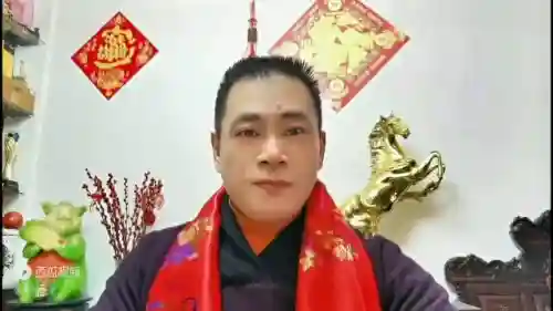 吉祥乌龟阵容怎么搭配最好(飞熊富贵骑最强阵容搭配)