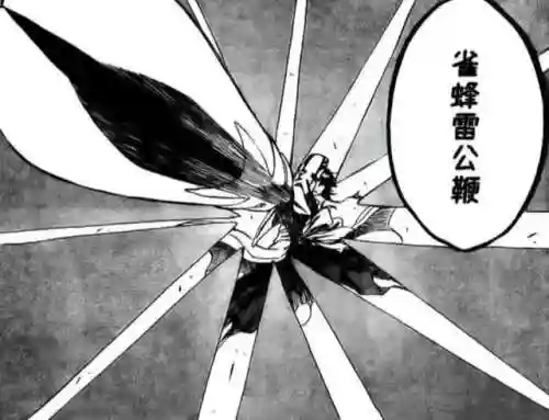 卍解元柳斋阵容搭配(12阶卍解元柳斎)插图5