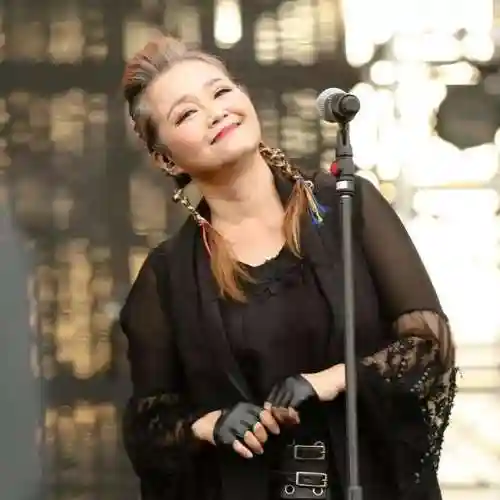 怀旧歌曲大全100首(怀旧老歌)插图11