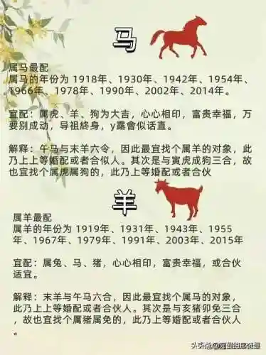 时空猎人3雷兔阵容搭配(时空猎人3最强角色)插图7 时空猎人3雷兔阵容搭配(时空猎人3最强角色)插图7
