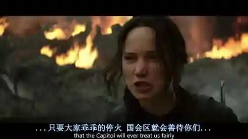饥饿游戏讲的是什么故事(饥饿游戏三部曲简介)插图15