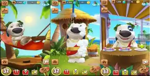 会说话的猫汤姆猫(我的汤姆猫下载免费)插图6