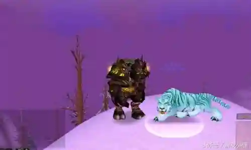 魔兽世界猎人灵魂兽宝宝大全(wow灵魂兽大全13只)插图8
