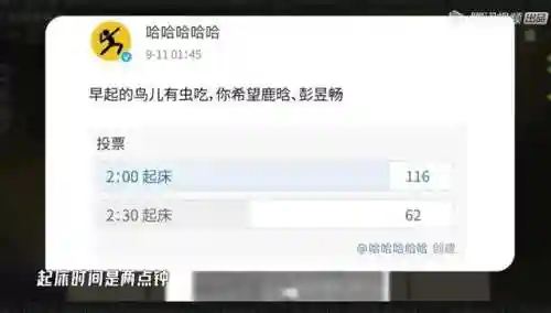 五哈最新阵容搭配图(适合五排的阵容)插图3