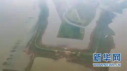 绝牢求生阵容怎么搭配好(地牢求生2后期最佳4人组合)插图4