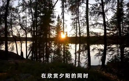 野外生存之旅中文版(自由生存游戏)插图3