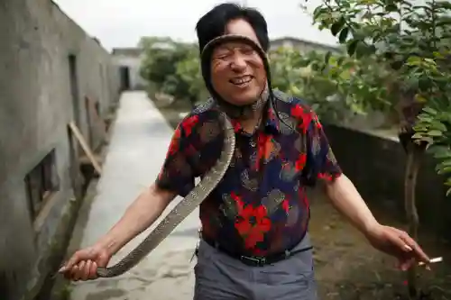 中国第一蛇王(中国最漂亮的毒蛇)