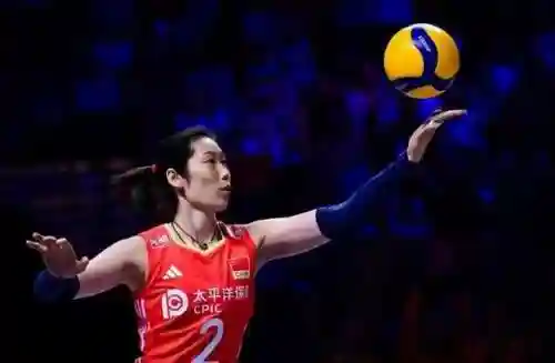 美国女排搭配阵容图表最新(中国女排最强阵容名单)插图14