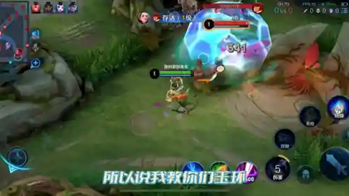 玉环打野阵容最新搭配表(杨玉环搭配什么阵容比较强)