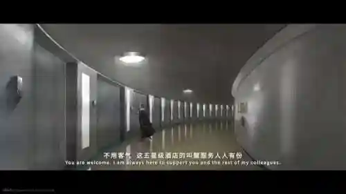 双生幻想心愿召唤阵容搭配(双生幻想后期最强阵容)插图17 双生幻想心愿召唤阵容搭配(双生幻想后期最强阵容)插图17